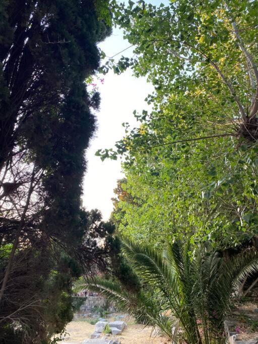 Apartmán Casa Di Sardi Kos Exteriér fotografie